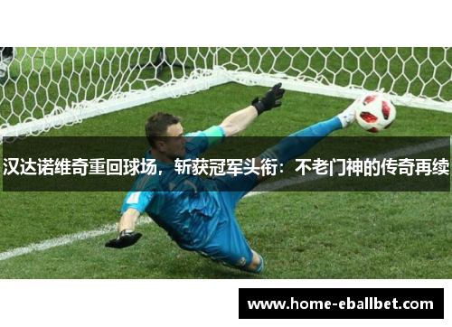 汉达诺维奇重回球场，斩获冠军头衔：不老门神的传奇再续